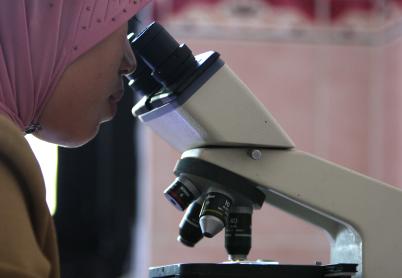 Indonesian woman wearing a headscarf looks into a microscope