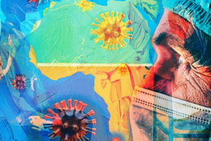 Investment Banner Investment Banner