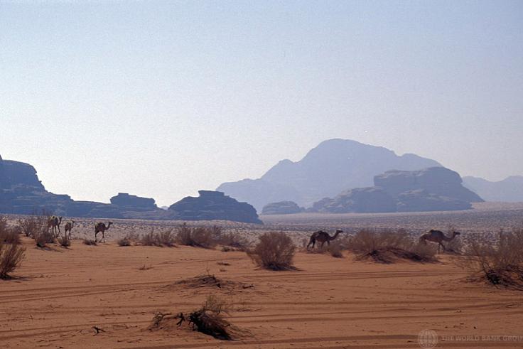 Image of a desert, with one mountain in the distance and two camels walking far away.