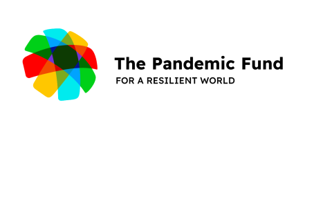 Pandemic fund long logo card 2